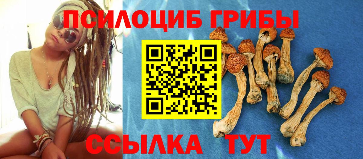 Псилоцибиновые грибы Cubensis Трёхгорный